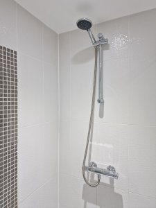 Leaky shower, replaced.